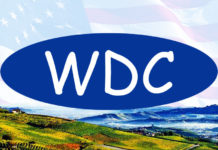New officers, plans for Windsor Dems